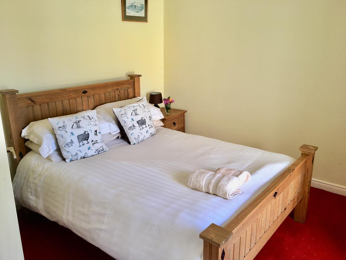 The Pier Bar , Cleggan Bed and Breakfast Exteriör bild
